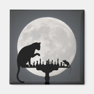 Cute Kitty Cat Magnet