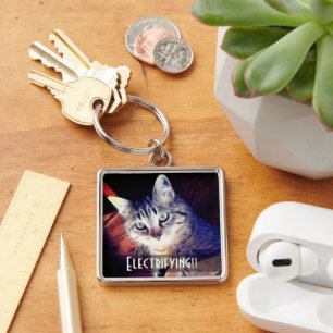 Cute Kitty In The Rafters Close-Up Photograph Key Ring