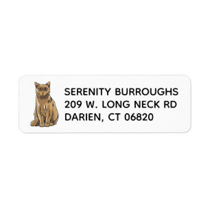 Cute Kitty Kitten Cartoon Brown Cat