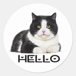 Cute Kitty Kitten Hello Black White Cat Classic Round Sticker