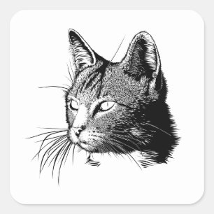 Cute Kitty Kitten Illustration Cat Square Sticker