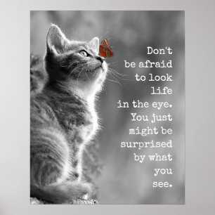 Cute Kitty Look Life In the Eye Motivational Quote Poster