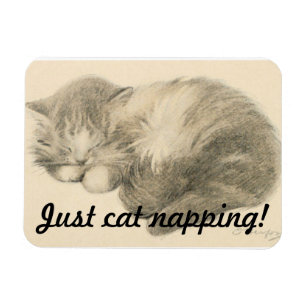 Cute Kitty Napping Magnet