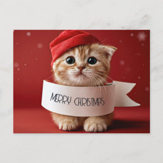 Cute Kitty Red Christmas Holiday Postcard