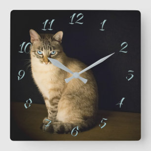 Cute kitty square wall clock