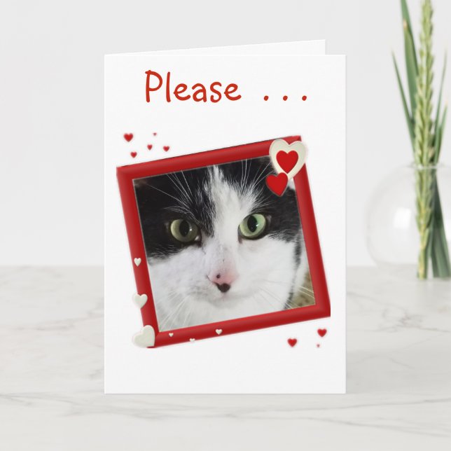Cute Kitty Valentine Holiday Card (Front)