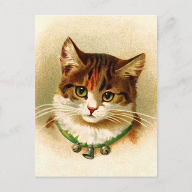 Cute kitty with bell collar postcard (Front)