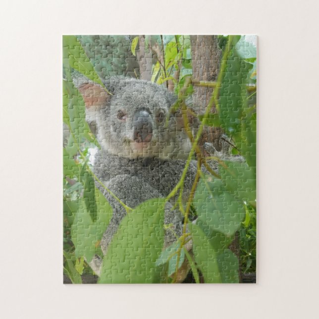 Cute Koala Bear Baby Australia Photography Jigsaw Puzzle (Vertical)