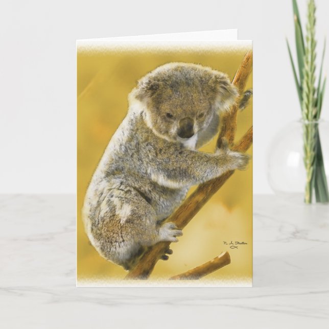 Cute...Koala Bear...Card! Card (Front)