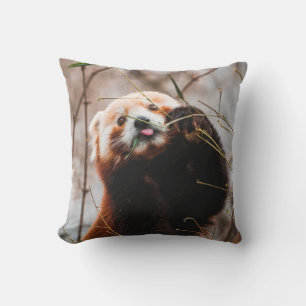 CUTE KOALA BEAR CUSHION
