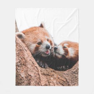 CUTE KOALA BEAR FAMILY FLEECE BLANKET