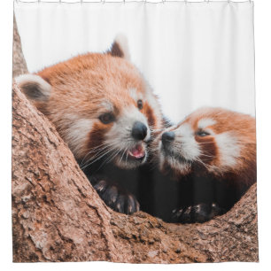 CUTE KOALA BEAR FAMILY SHOWER CURTAIN