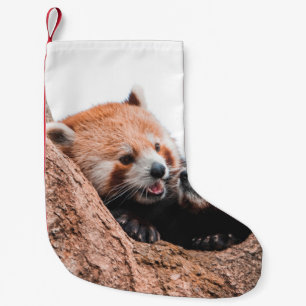 CUTE KOALA BEAR FAMILY SMALL CHRISTMAS STOCKING