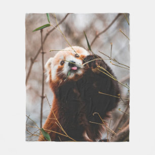 CUTE KOALA BEAR FLEECE BLANKET