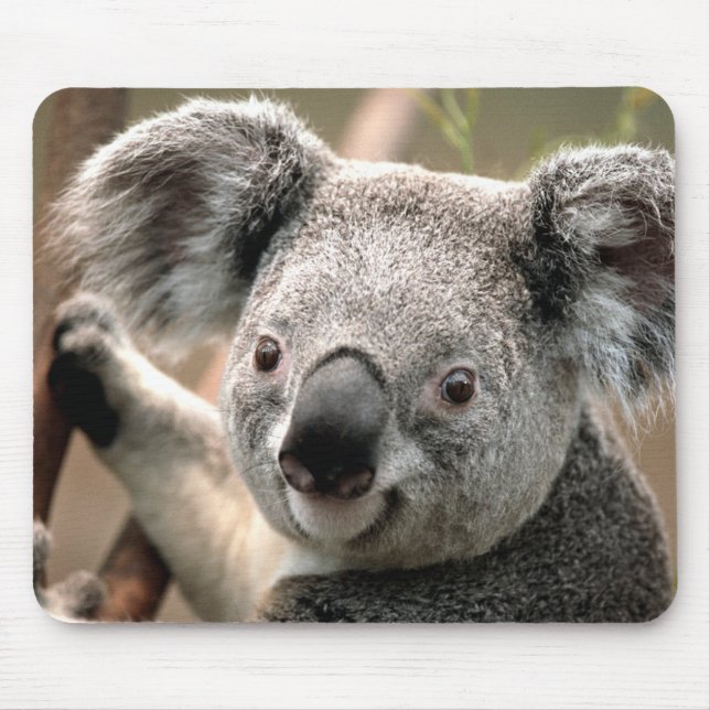 Cute Koala Bear Mouse Mat (Front)