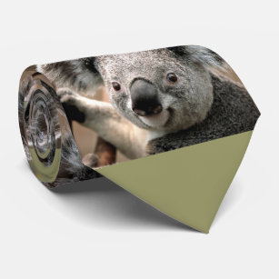 Cute Koala Bear Photo Tie (green background)