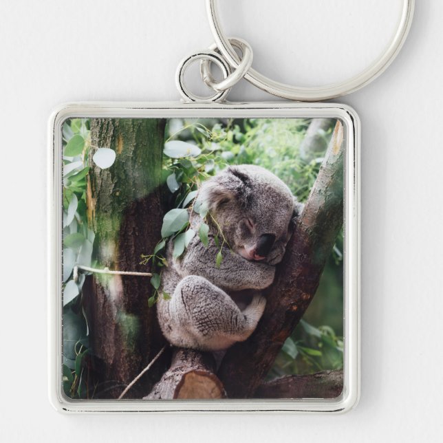 Cute Koala Bear relaxing in a Tree Key Ring (Front)