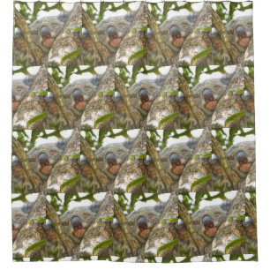 Cute Koala Bear Shower Curtain