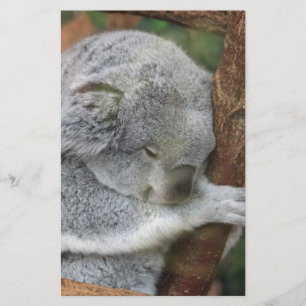 Cute Koala Bear Shower Office Party Stationery