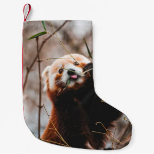 CUTE KOALA BEAR SMALL CHRISTMAS STOCKING