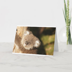 Cute Koala Bears Party Shower Birthday Card