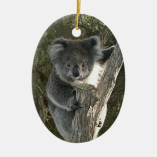 Cute Koala Climbing a Tree Ceramic Tree Decoration