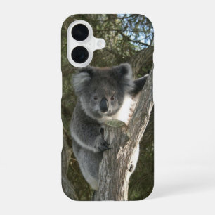 Cute Koala Climbing a Tree iPhone 16 Case
