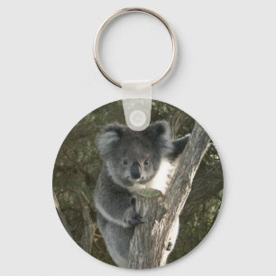Cute Koala Climbing a Tree Key Ring