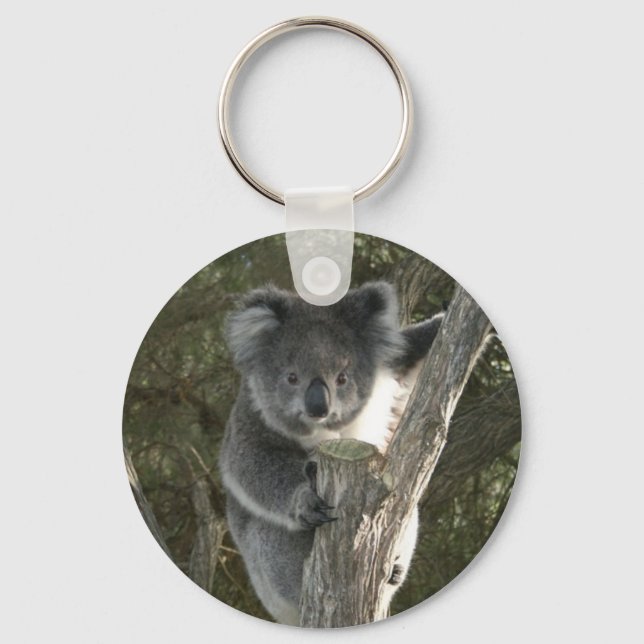 Cute Koala Climbing a Tree Key Ring (Front)