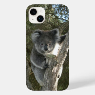 Cute Koala Climbing a Tree Photo Case-Mate iPhone 14 Plus Case