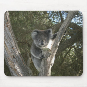Cute Koala Climbing a Tree Photo Mouse Mat