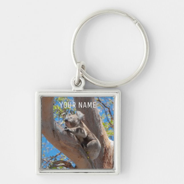Cute Koala Climbing in a Tree Australia Key Ring (Front)