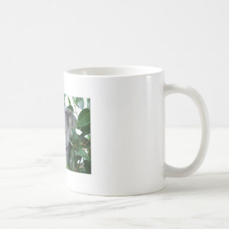 Cute Koala Coffee Mug