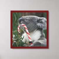 Cute Koala Eating Candy Cane