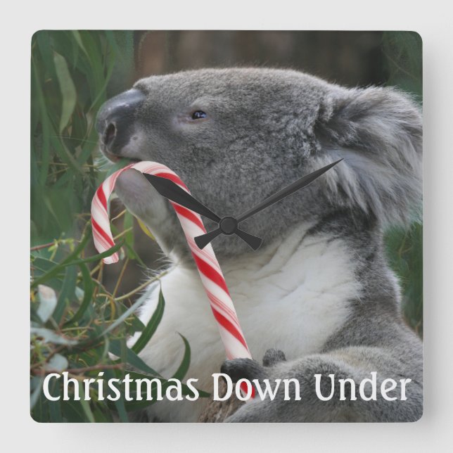 Cute Koala Eating Candy Cane Square Wall Clock (Front)