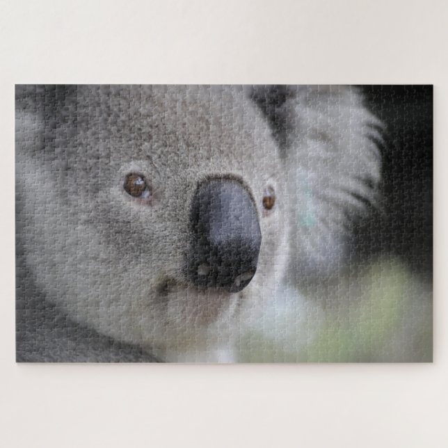 Cute Koala Face Marsupial Animal Nature Australia Jigsaw Puzzle (Horizontal)