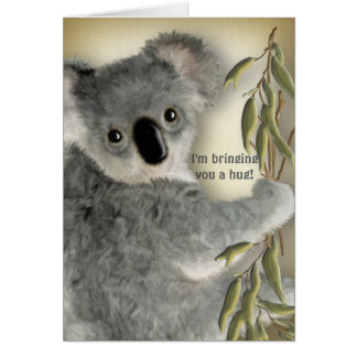 Cute Koala Hug
