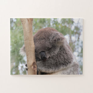 cute koala jigsaw puzzle