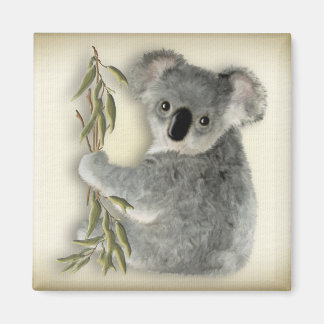 Cute Koala Magnet