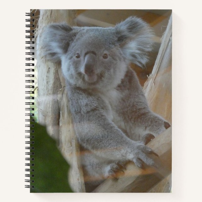 Cute Koala Notebook (Front)