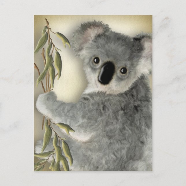 Cute Koala Postcard (Front)