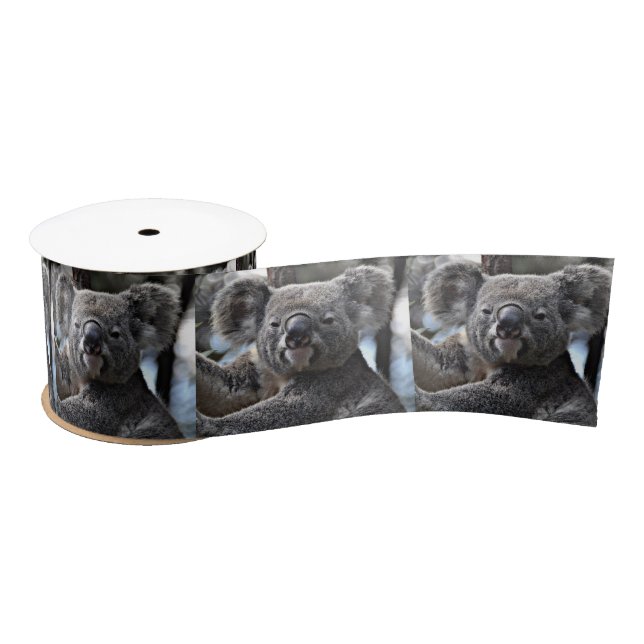 cute koala satin ribbon (Spool)