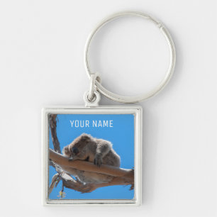 Cute Koala Sleeping in a Tree Australia Key Ring