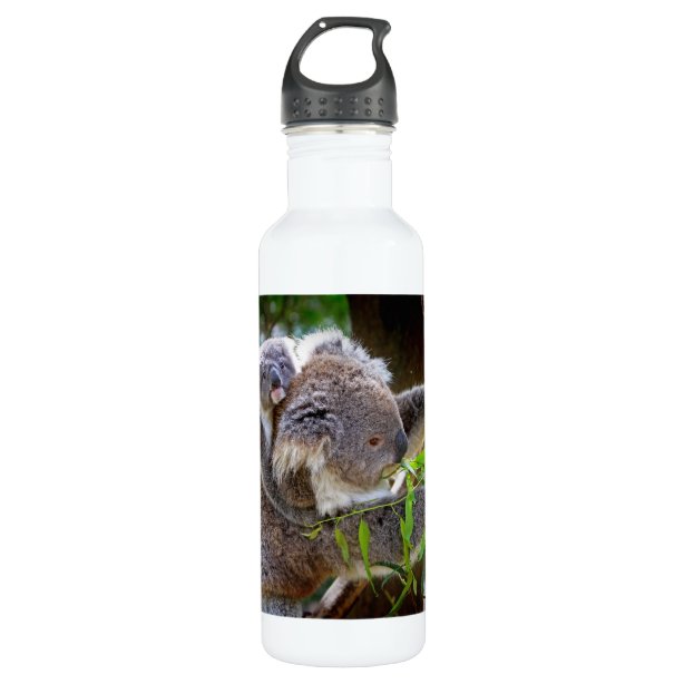 Koala Water Bottles Zazzle.co.uk