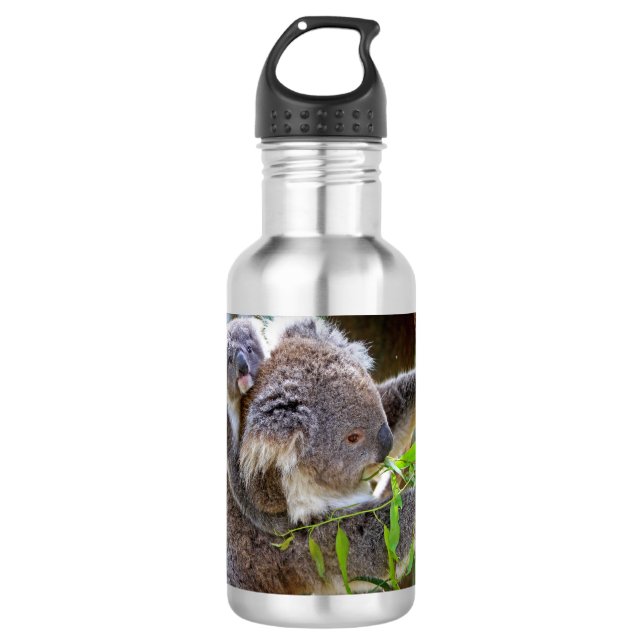 Cute Koalas 710 Ml Water Bottle (Front)