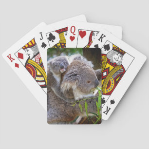 Cute Koalas Playing Cards
