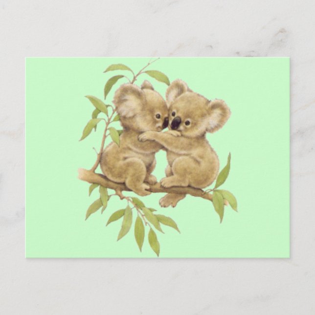 Cute Koalas Postcard (Front)