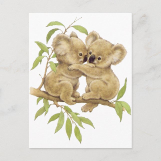 Cute Koalas Postcard (Front)