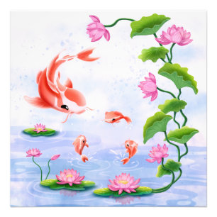Cute Koi Fish Photo Print