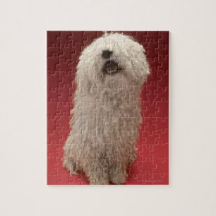 Cute Komondor Dog Jigsaw Puzzle